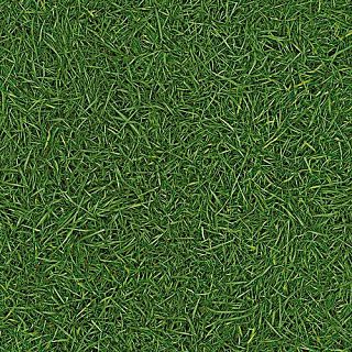 Линолеум Neo Grass 25